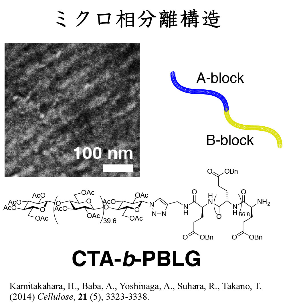 研究内容 | 京都大学大学院農学研究科森林科学専攻複合材料化学分野